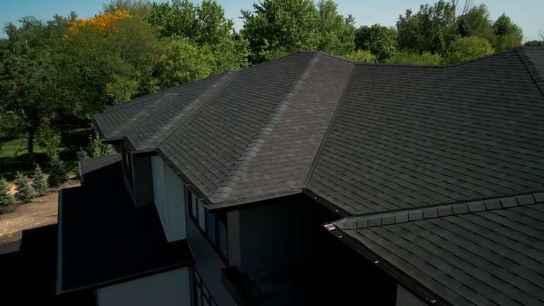 Best Roof Ventilation Installation  in USA